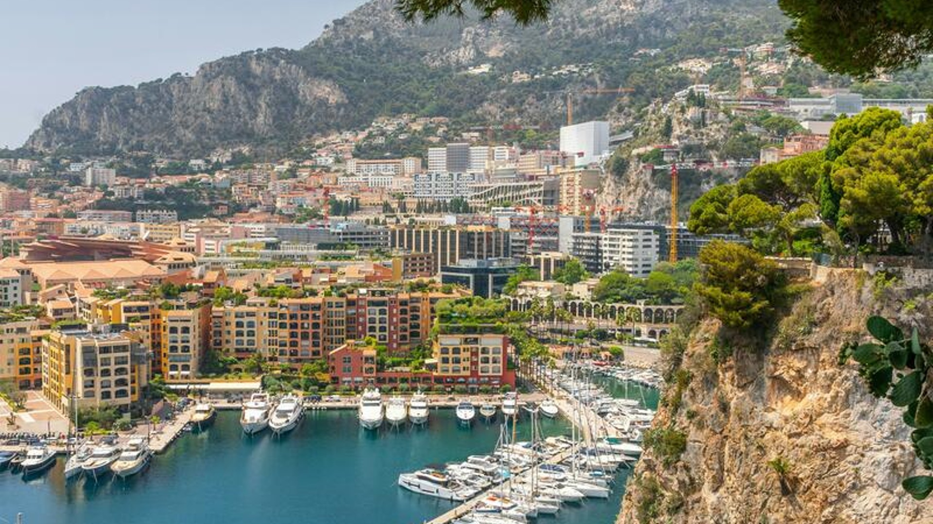 Professional premises for sale at Michelangelo