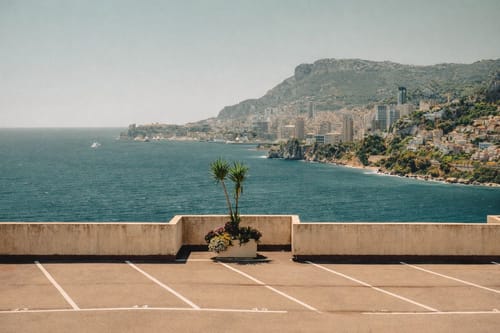 Renting a property in Monaco